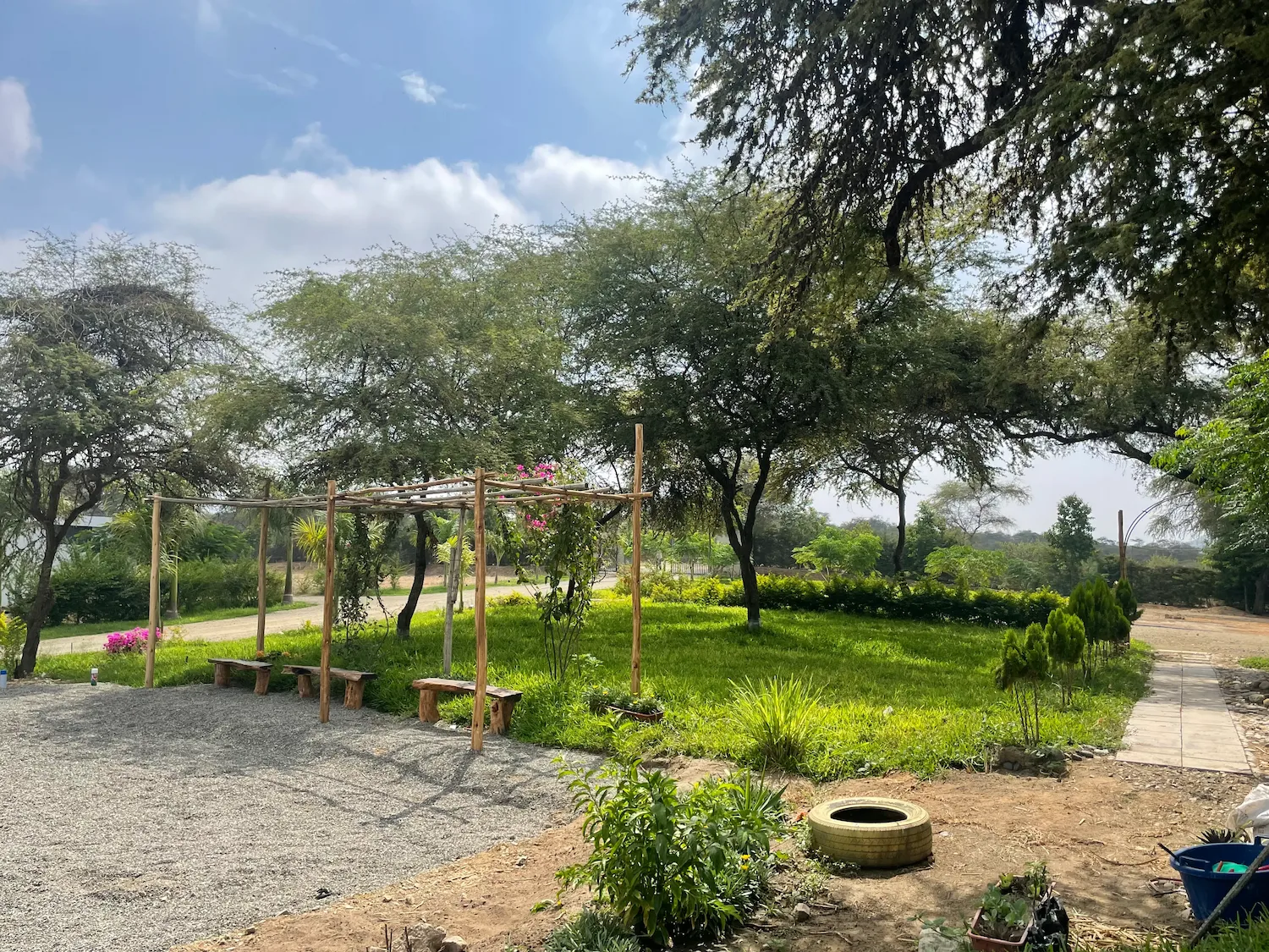 Naturaleza alrededor